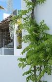Туры в отель Vila de la Mar & Spa Туры в отель Vila de la Mar & Spa