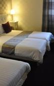 Туры в отель Brit Hotel et Spa COLMAR EAST Туры в отель Brit Hotel et Spa COLMAR EAST