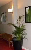 Туры в отель Hotel Mondial Туры в отель Hotel Mondial
