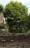 Туры в отель Mas des Romarins, The Originals Relais Туры в отель Mas des Romarins, The Originals Relais