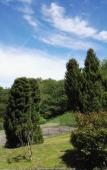 Туры в отель Garden & City Capvern-les-Bains Туры в отель Garden & City Capvern-les-Bains