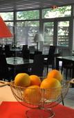 Туры в отель Hotel Diane Туры в отель Hotel Diane