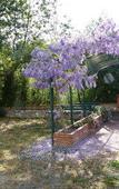 Туры в отель Appart'Hotel-Restaurant Castel Emeraude Туры в отель Appart'Hotel-Restaurant Castel Emeraude