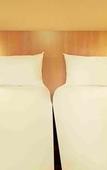 Туры в отель ibis Dijon Sud Туры в отель ibis Dijon Sud