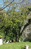 Туры в отель Hotel Le Castel Fleuri Туры в отель Hotel Le Castel Fleuri