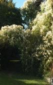 Туры в отель Les jardins de la Contie Туры в отель Les jardins de la Contie