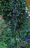Туры в отель Les jardins de la Contie Туры в отель Les jardins de la Contie