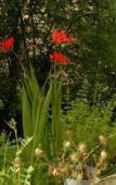 Туры в отель Les jardins de la Contie Туры в отель Les jardins de la Contie