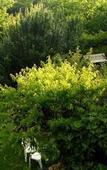 Туры в отель Les jardins de la Contie Туры в отель Les jardins de la Contie