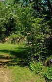 Туры в отель Les jardins de la Contie Туры в отель Les jardins de la Contie