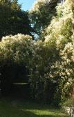Туры в отель Les jardins de la Contie Туры в отель Les jardins de la Contie