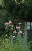Туры в отель Les jardins de la Contie Туры в отель Les jardins de la Contie