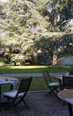 Туры в отель Pey La Tour - Logis Hotels & restaurant Туры в отель Pey La Tour - Logis Hotels & restaurant
