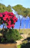 Туры в отель Hotel Domaine de la Mer Туры в отель Hotel Domaine de la Mer