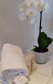 Туры в отель Hotel Domaine de la Mer Туры в отель Hotel Domaine de la Mer