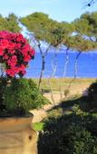 Туры в отель Hotel Domaine de la Mer Туры в отель Hotel Domaine de la Mer