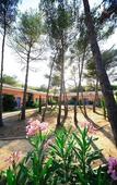 Туры в отель Hotel Domaine de la Mer Туры в отель Hotel Domaine de la Mer
