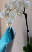 Туры в отель Hotel Domaine de la Mer Туры в отель Hotel Domaine de la Mer