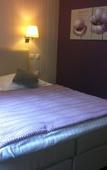 Туры в отель Au Cheval Blanc Hotel et Restaurant Туры в отель Au Cheval Blanc Hotel et Restaurant