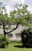 Туры в отель Hotel Clair Cottage Туры в отель Hotel Clair Cottage
