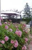 Туры в отель Hotel Clair Cottage Туры в отель Hotel Clair Cottage