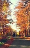 Туры в отель Logis Hotel Restaurant Spa Notre Dame de Bonne Fontaine Туры в отель Logis Hotel Restaurant Spa Notre Dame de Bonne Fontaine