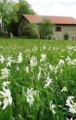Туры в отель Jasserie Les Airelles Туры в отель Jasserie Les Airelles