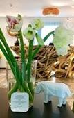 Туры в отель Appart'Hotel La Girafe Туры в отель Appart'Hotel La Girafe