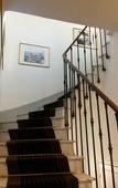 Туры в отель Hotel Villa Rose Туры в отель Hotel Villa Rose