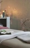Туры в отель Hotel Valdys Thalasso & Spa - la Baie Туры в отель Hotel Valdys Thalasso & Spa - la Baie