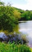 Туры в отель Au Fil de L'eau Туры в отель Au Fil de L'eau