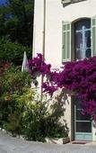 Туры в отель Logis hotel la Bellaudiere Туры в отель Logis hotel la Bellaudiere