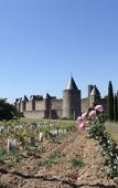 Туры в отель Pont Levis Boutique Hotel - 50m Cite Remparts Carcassonne Туры в отель Pont Levis Boutique Hotel - 50m Cite Remparts Carcassonne
