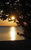 Туры в отель Les Elmes - Hotel, Spa & Plage Privee Туры в отель Les Elmes - Hotel, Spa & Plage Privee