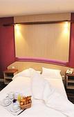 Туры в отель Hotel Mercure Castres L'Occitan Туры в отель Hotel Mercure Castres L'Occitan