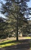 Туры в отель Chateau De Beauvois - La Maison Younan Туры в отель Chateau De Beauvois - La Maison Younan