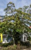 Туры в отель B&B HOTEL Agen Туры в отель B&B HOTEL Agen