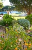 Туры в отель Hotel La Romarine Туры в отель Hotel La Romarine