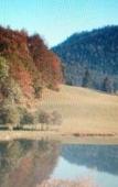 Туры в отель A la Grenouille du Jura - Oyonnax Nantua Туры в отель A la Grenouille du Jura - Oyonnax Nantua