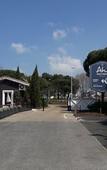 Туры в отель greet La Teste Bassin d'Arcachon Туры в отель greet La Teste Bassin d'Arcachon