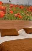 Туры в отель Logis Hotel - La Chambre d'Amiens Туры в отель Logis Hotel - La Chambre d'Amiens