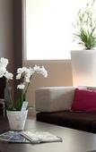 Туры в отель Hotel L'Espadon Туры в отель Hotel L'Espadon