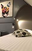 Туры в отель Les Terrasses de Saumur Hotel & Spa Туры в отель Les Terrasses de Saumur Hotel & Spa