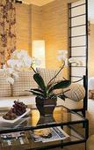 Туры в отель Hostellerie Saint-Antoine Туры в отель Hostellerie Saint-Antoine
