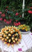 Туры в отель Hotel Villa Roseraie Туры в отель Hotel Villa Roseraie