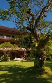 Туры в отель Matahari Bungalows Туры в отель Matahari Bungalows