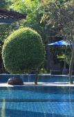 Туры в отель Matahari Bungalows Туры в отель Matahari Bungalows