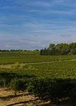 Туры в отель Chateau Les Carrasses Туры в отель Chateau Les Carrasses
