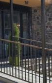 Туры в отель Hotel & Spa Le Madeloc Collioure Centre Туры в отель Hotel & Spa Le Madeloc Collioure Centre