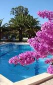 Туры в отель Tropic Hotel Туры в отель Tropic Hotel